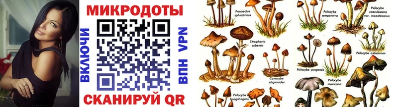Псилоцибиновые грибы мицелий  Купить закладки  Жуковский 
